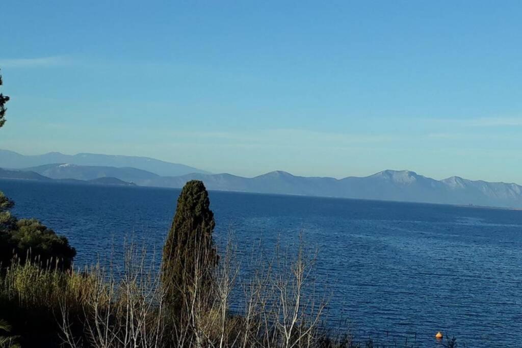 Amazing Sea View-Neos Pyrgos Beach -Evoia Greece Néos Pírgos Εξωτερικό φωτογραφία
