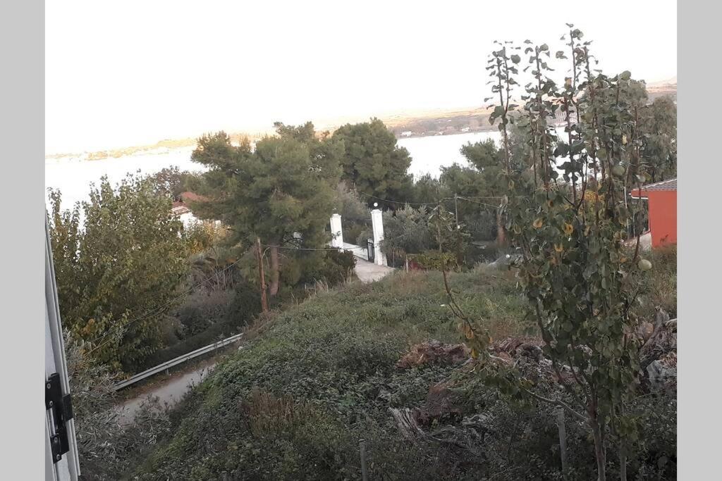 Amazing Sea View-Neos Pyrgos Beach -Evoia Greece Néos Pírgos Εξωτερικό φωτογραφία